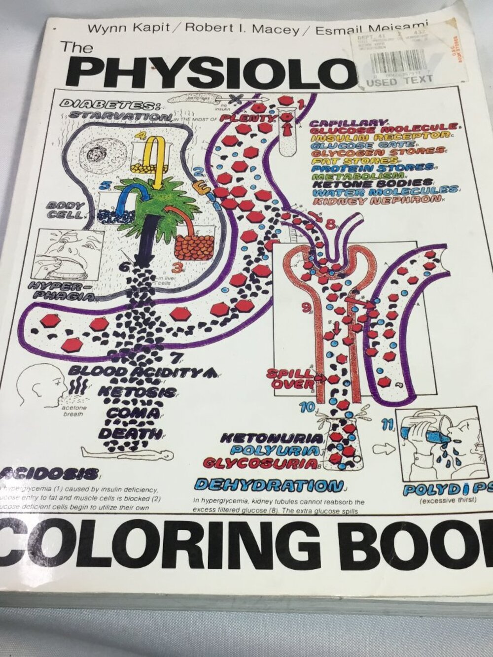 The Physiology Coloring Book - Paperback By Esmail Meisami - Acceptable